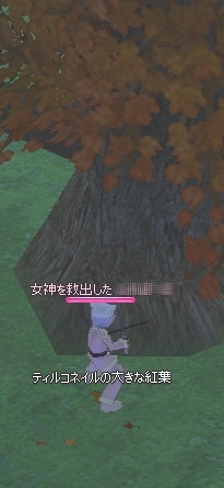 ティルコネイルの大きな紅葉