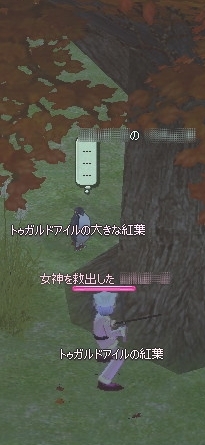 トゥガルドアイルの大きな紅葉