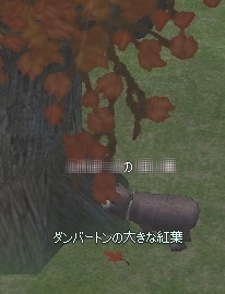 ダンバートンの大きな紅葉(1枚目)