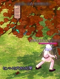 センマイの大きな紅葉(2枚目)