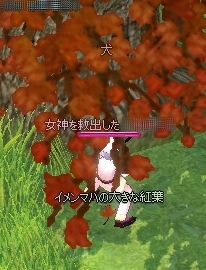 イメンマハの大きな紅葉(2枚目)
