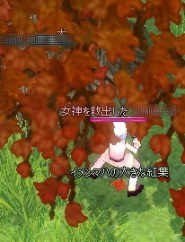 イメンマハの大きな紅葉(2枚目)