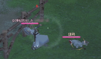 雄鶏