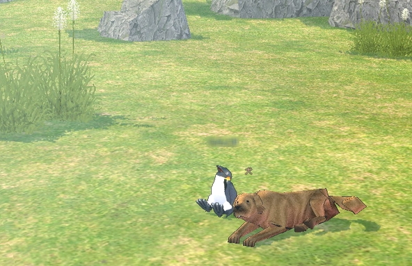 犬