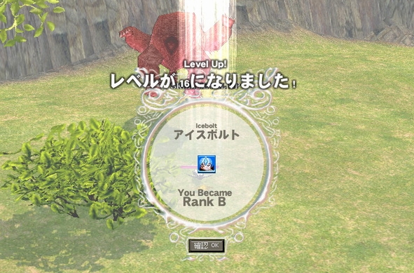 レベルが 16 になりました !